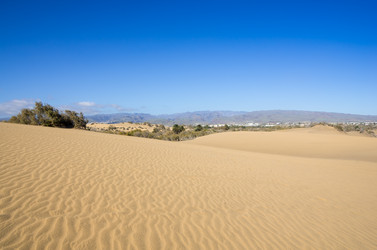 Similar image 7546432