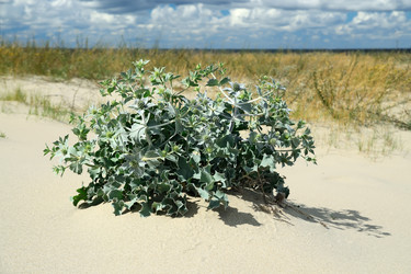 Similar image 7546442