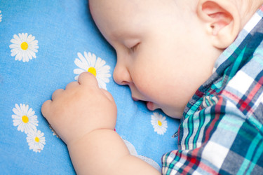 Similar image 7546446