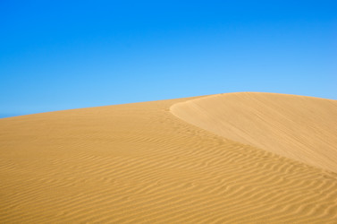 Similar image 7546459