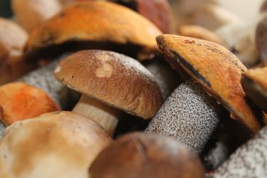 Similar image 7546564