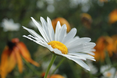 Similar image 7546565