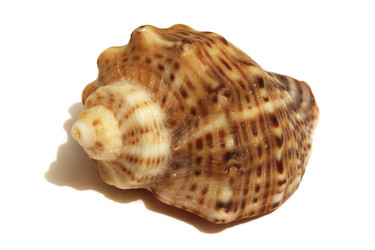 Similar image 7546574