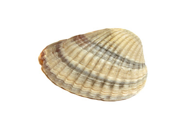 Similar image 7546589