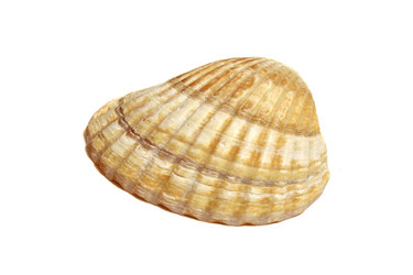 Similar image 7546590