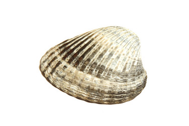 Similar image 7546593