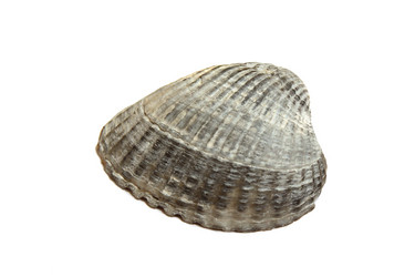 Similar image 7546596