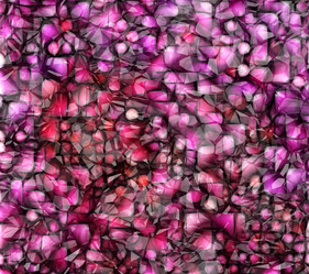 Similar image 7546645