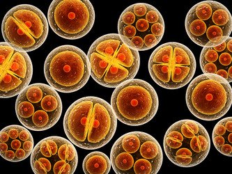 Similar image 7546669