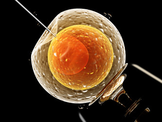 Similar image 7546671