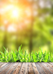 Similar image 7546688