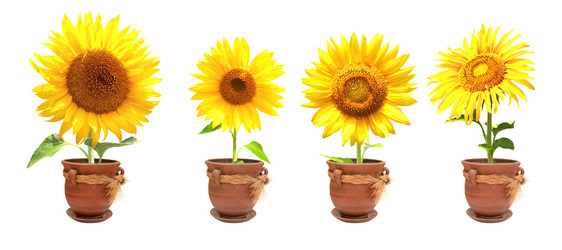 Similar image 7546703