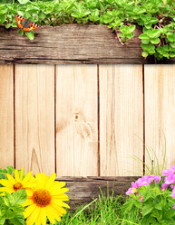 Similar image 7546705