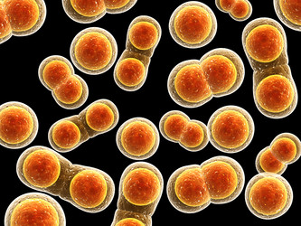 Similar image 7546714