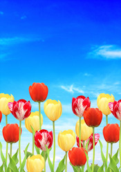 Similar image 7546720