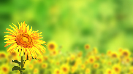 Similar image 7546734