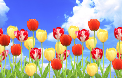 Similar image 7546745