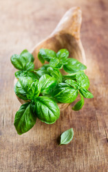 Similar image 7547096