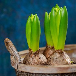 Similar image 7547180