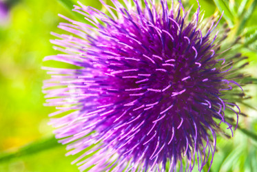 Similar image 7547215