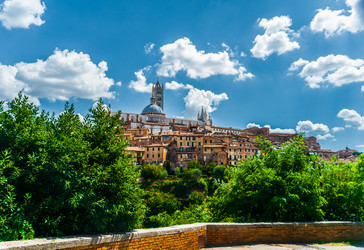 Similar image 7547231