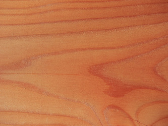 Similar image 7547648