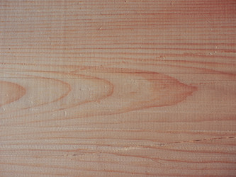 Similar image 7547649