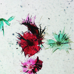 Similar image 7547871