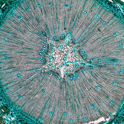 Similar image 7548157