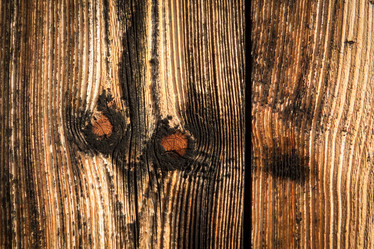 Similar image 7548220