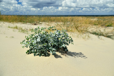 Similar image 7548231