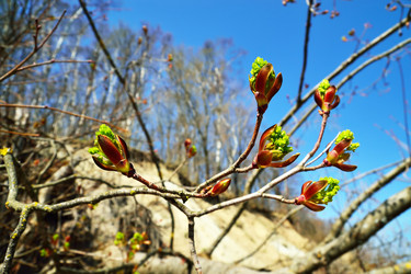 Similar image 7548234