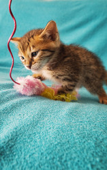 Similar image 7548250