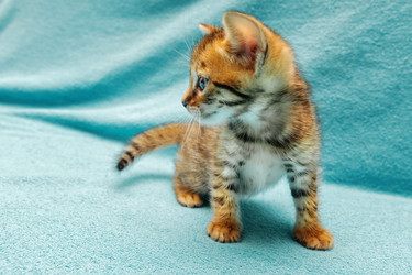 Similar image 7548251