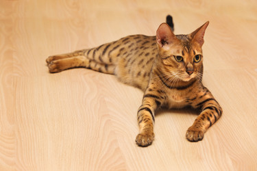 Similar image 7548252