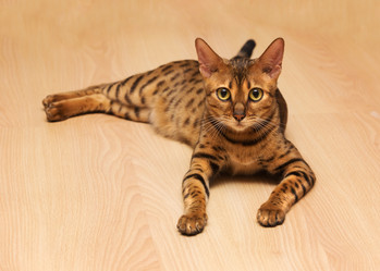 Similar image 7548253