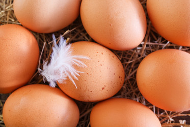 Similar image 7548542