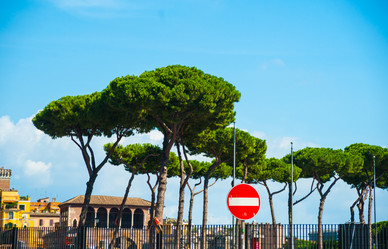 Similar image 7548594