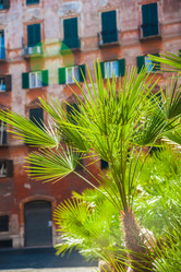 Similar image 7548607