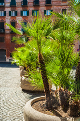 Similar image 7548608