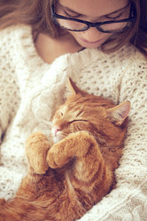 Similar image 7549466