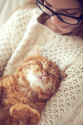 Similar image 7549467