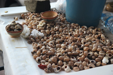 Similar image 7549813