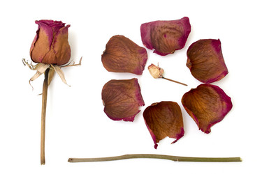 Similar image 7549834