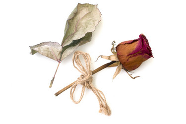 Similar image 7549842