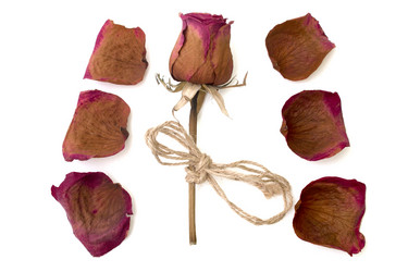 Similar image 7549850