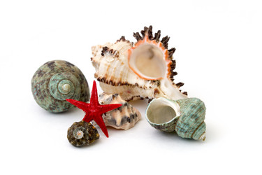 Similar image 7569544