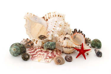 Similar image 7569546