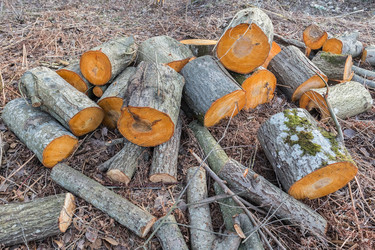 Similar image 7569578