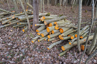 Similar image 7569579